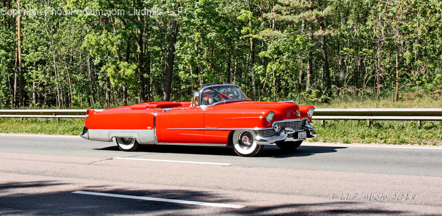 Transportation, Vehicle, Automobile, Car, Hot Rod
