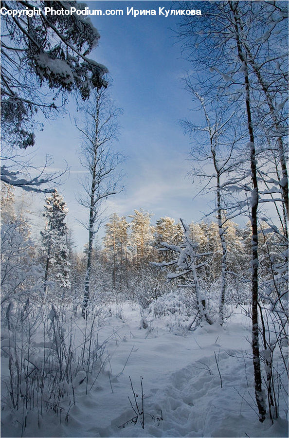 Frost, Ice, Outdoors, Snow, Landscape, Nature, Scenery