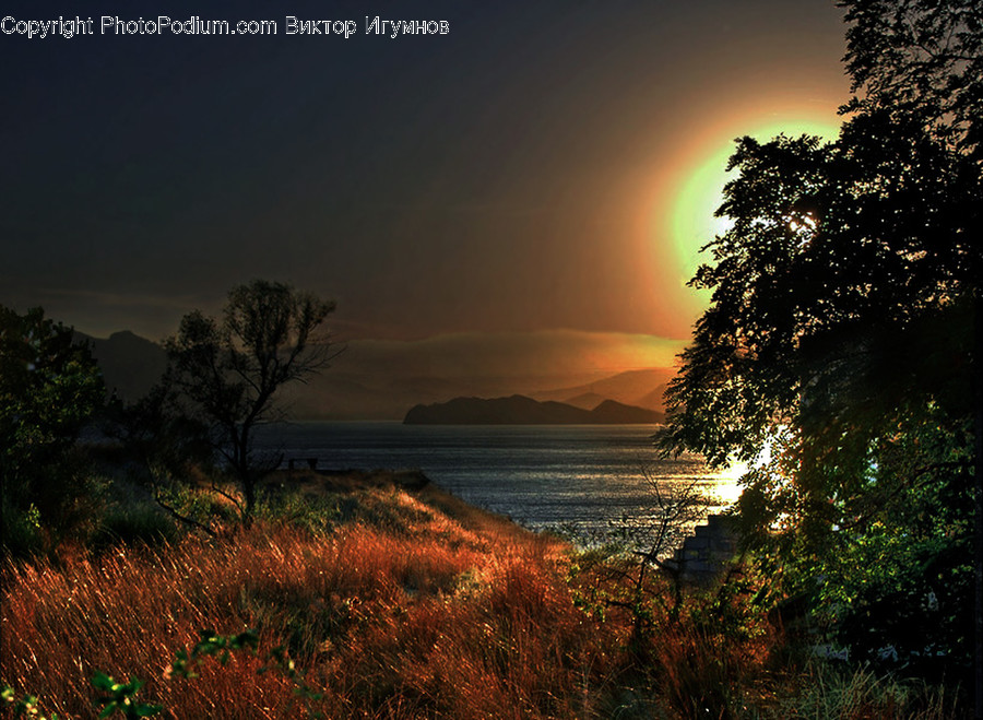 Nature, Outdoors, Dawn, Sky, Sunset