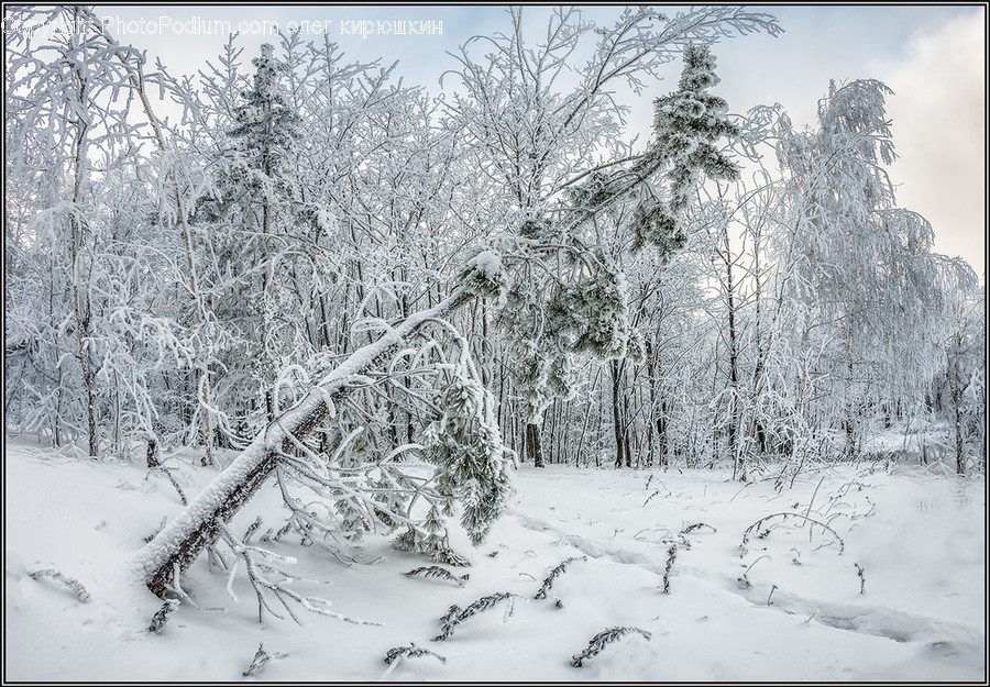 Nature, Outdoors, Snow, Winter, Storm