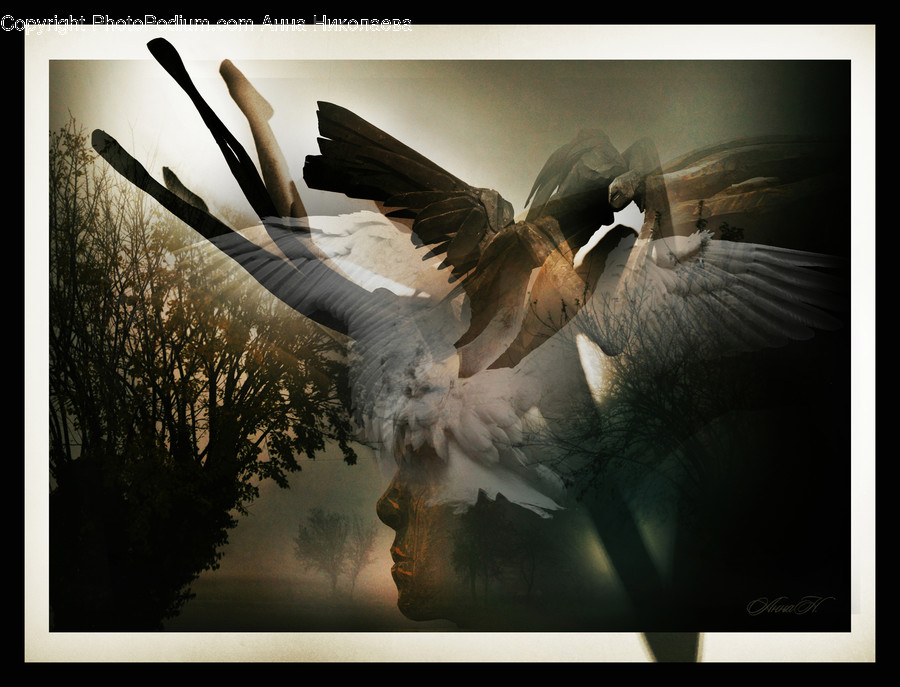 Bird, Animal, Waterfowl, Art, Plant