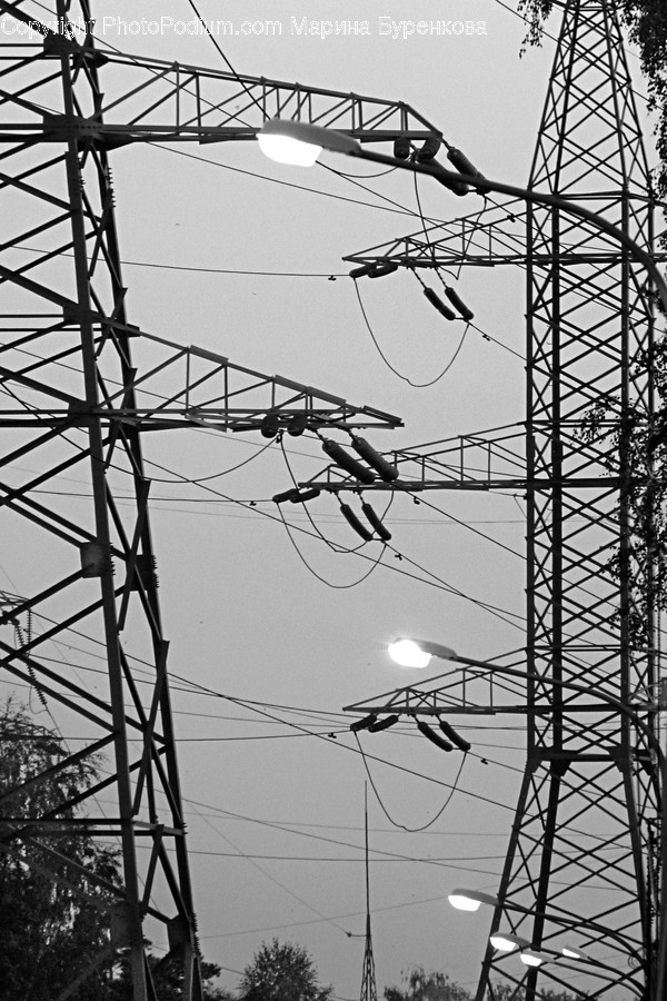 Cable, Power Lines, Electric Transmission Tower, Utility Pole, Animal