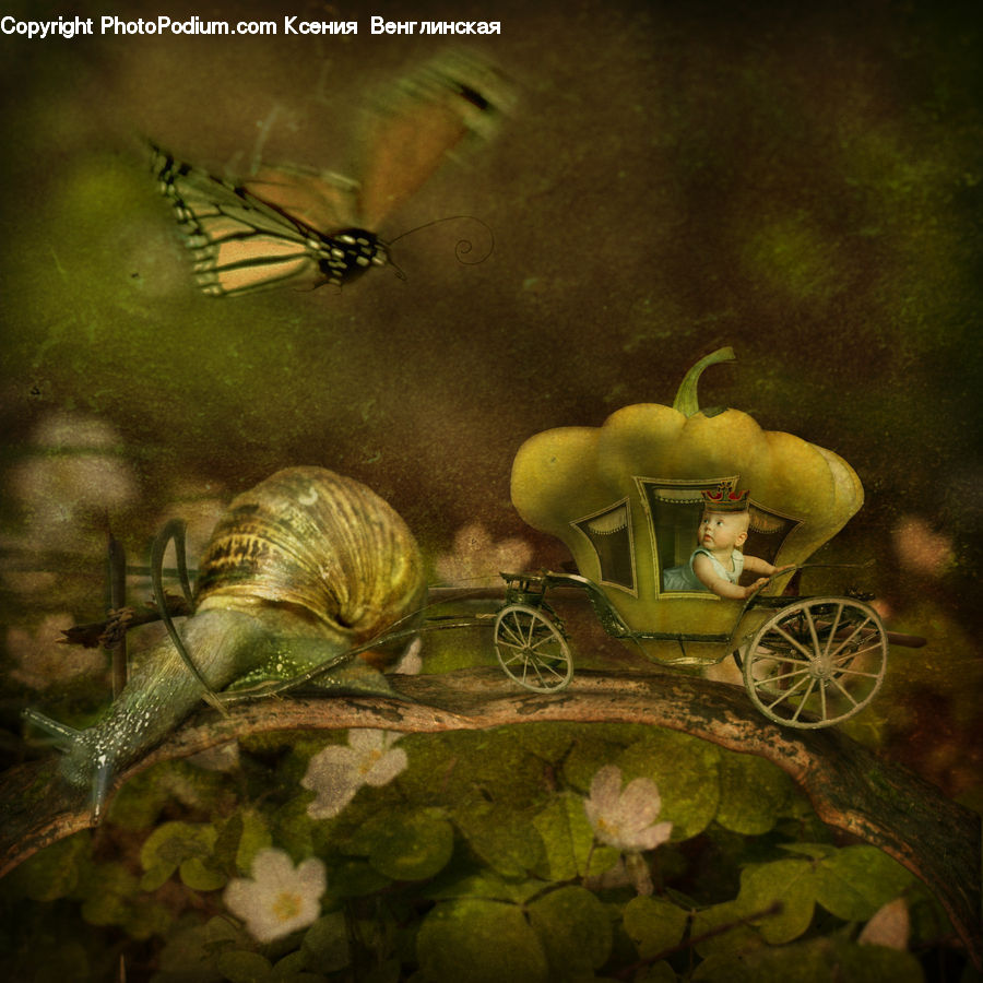 Carriage, Horse Cart, Vehicle, Car, Wagon, Antique Car, Model T