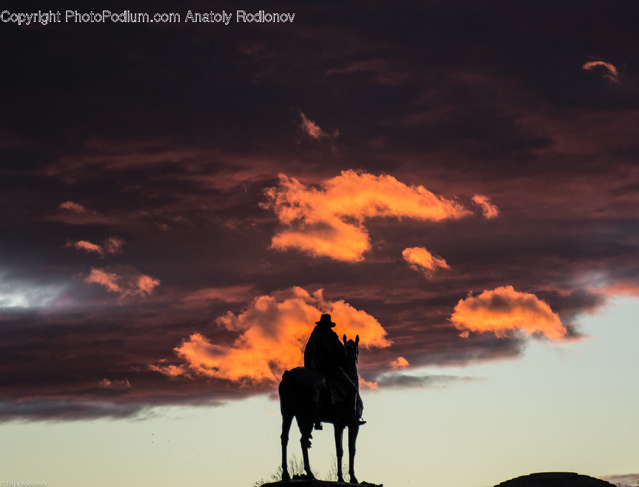 Nature, Silhouette, Outdoors, Animal, Mammal