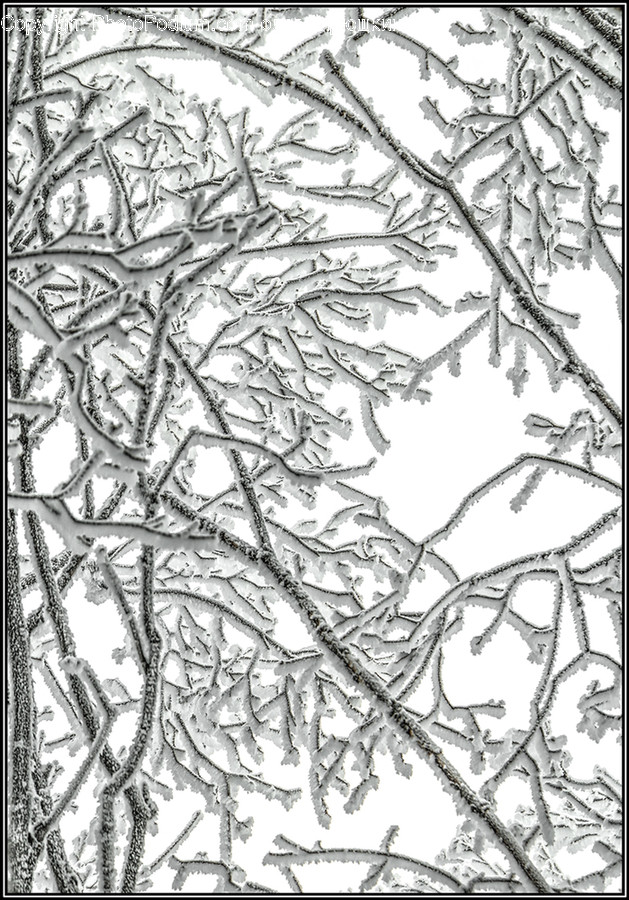 Outdoors, Nature, Ice, Snow, Frost