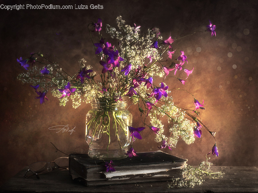 Plant, Flower, Blossom, Flower Arrangement, Ikebana