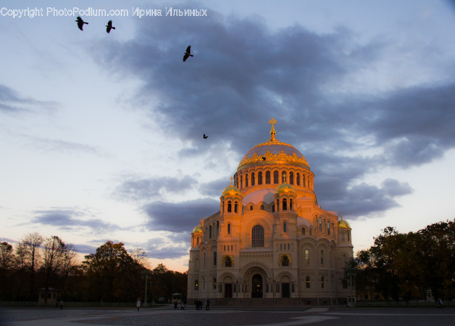 Building, Architecture, Dome, Animal, Bird