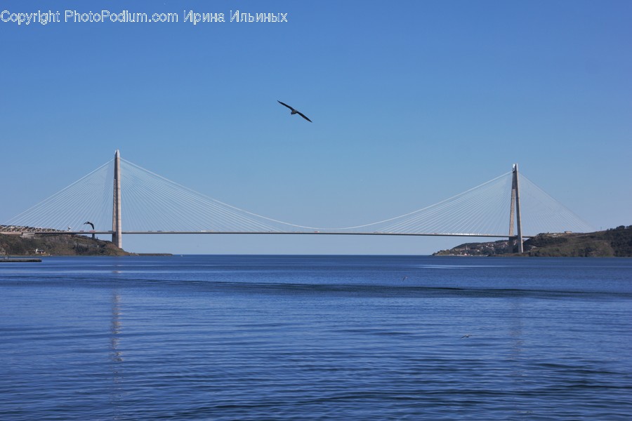 Building, Animal, Bird, Bridge, Water