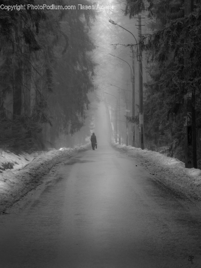 Nature, Person, Human, Outdoors, Fog