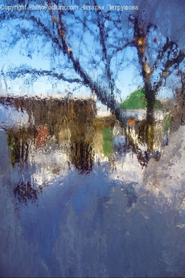 Tree, Plant, Outdoors, Nature, Ice