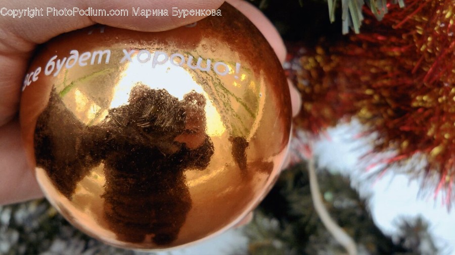 Sphere, Plant, Person, Human, Ornament