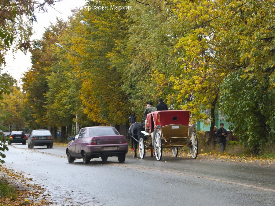 Person, Human, Automobile, Vehicle, Transportation