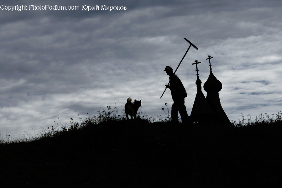 Silhouette, Person, Human, Animal, Canine