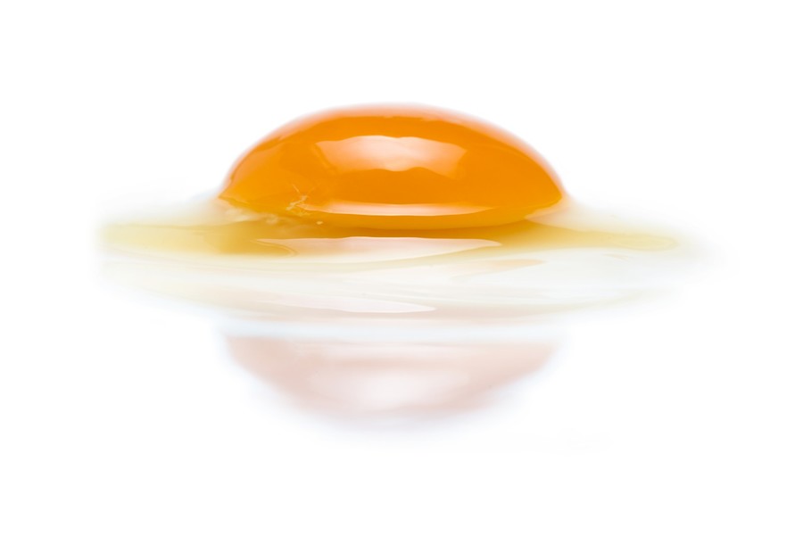 Food, Egg