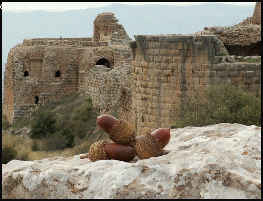 Acorn, Plant, Seed, Castle, Fort, Ruins