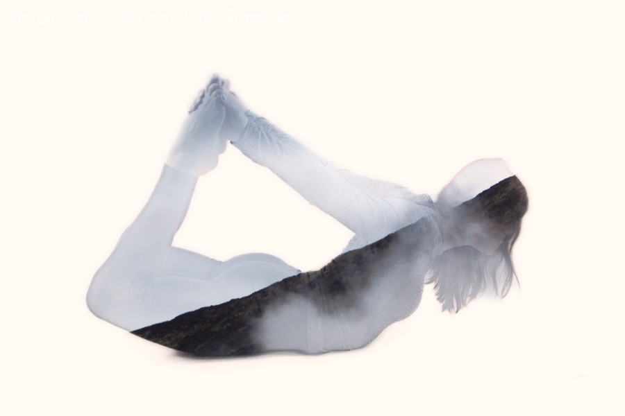 Bird, Animal, Human, Person, Flying