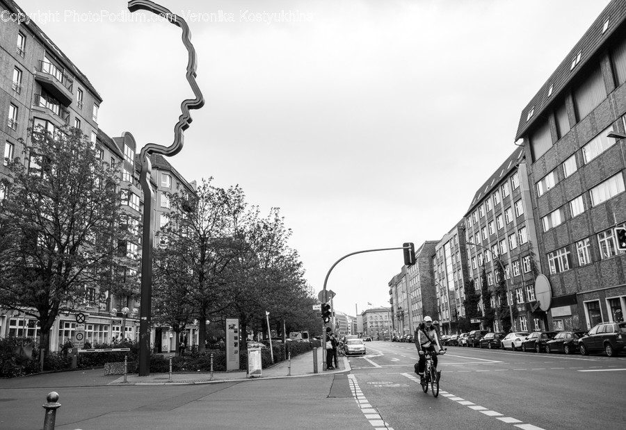 Traffic Light, Light, Person, Human, Vehicle