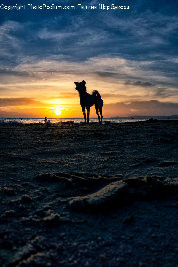 Outdoors, Nature, Sky, Dawn, Red Sky