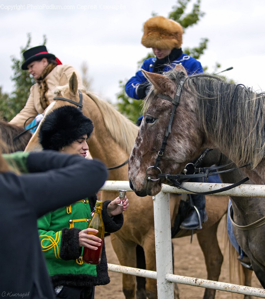 Animal, Mammal, Horse, Person, Human