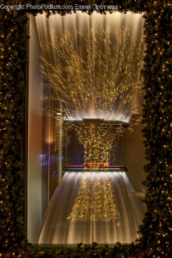 Lighting, Shop, Plant, Window Display, Tree