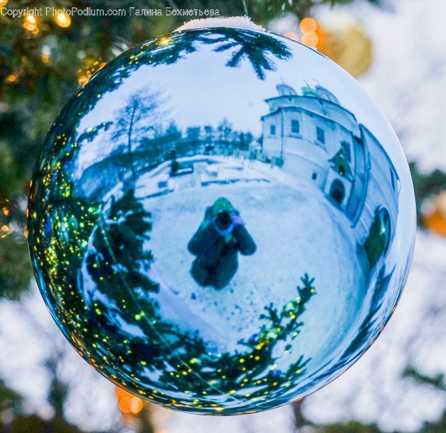 Sphere, Mammal, Animal, Bear, Wildlife