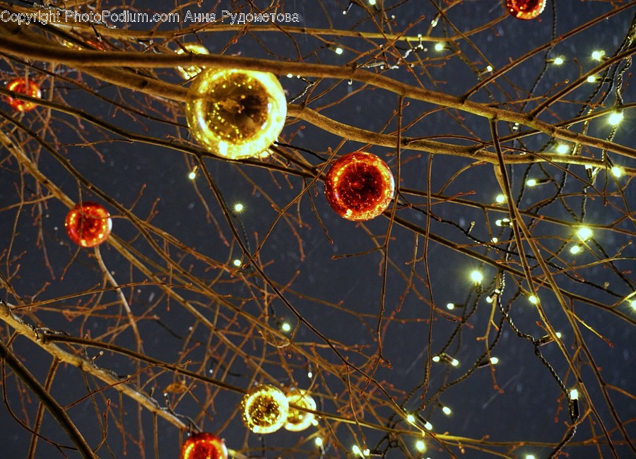 Ornament, Lighting, Pattern, Light, Fractal