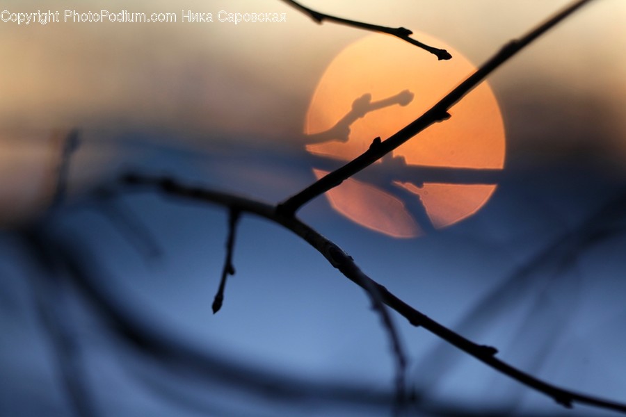 Nature, Outdoors, Wire, Sunlight, Sky