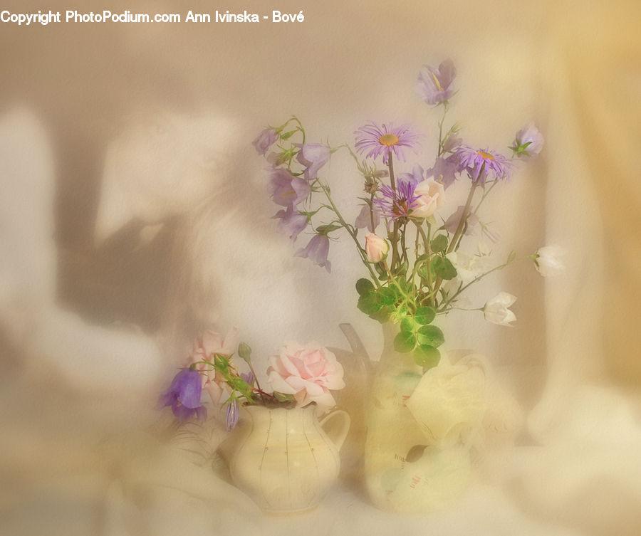 Flower Arrangement, Ikebana, Plant, Potted Plant, Vase, Flower, Flower Bouquet