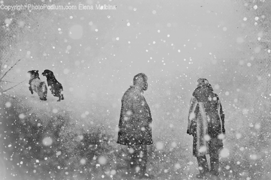 Nature, Outdoors, Human, Person, Snow