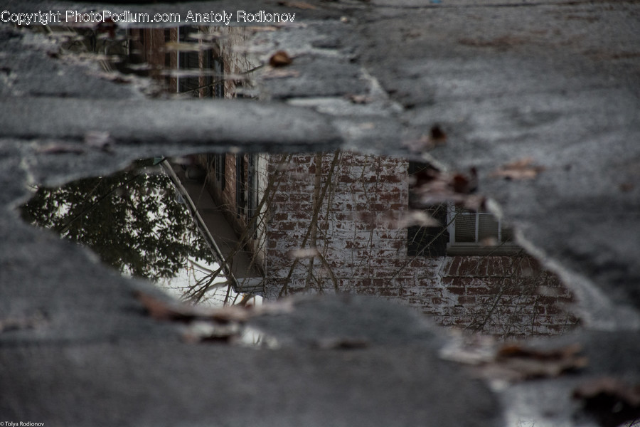 Puddle