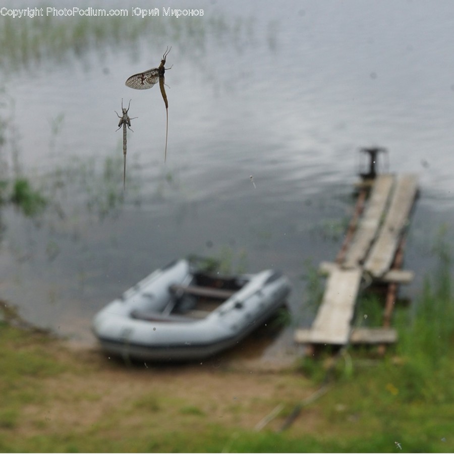Vehicle, Vessel, Watercraft, Transportation, Water