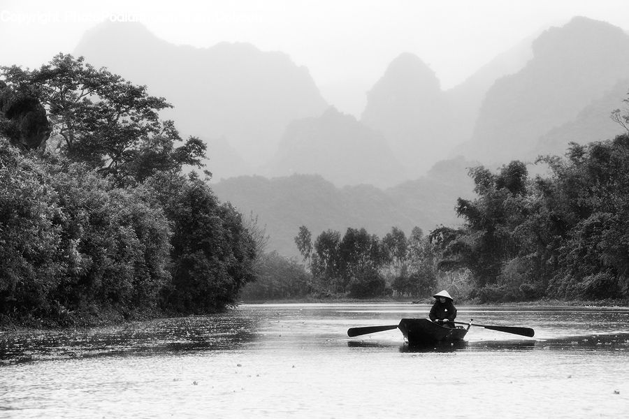 Forest, Jungle, Rainforest, Vegetation, Outdoors, River, Water