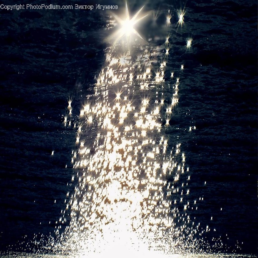 Light, Flare, Ornament, Tree, Plant