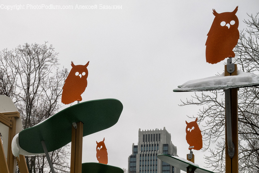 Mammal, Pet, Cat, Animal, Bird