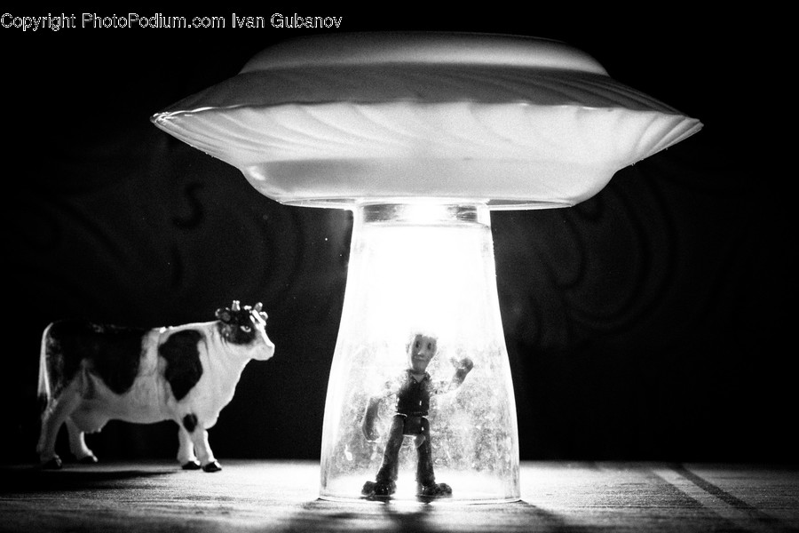 Person, Human, Stage, Mammal, Cattle