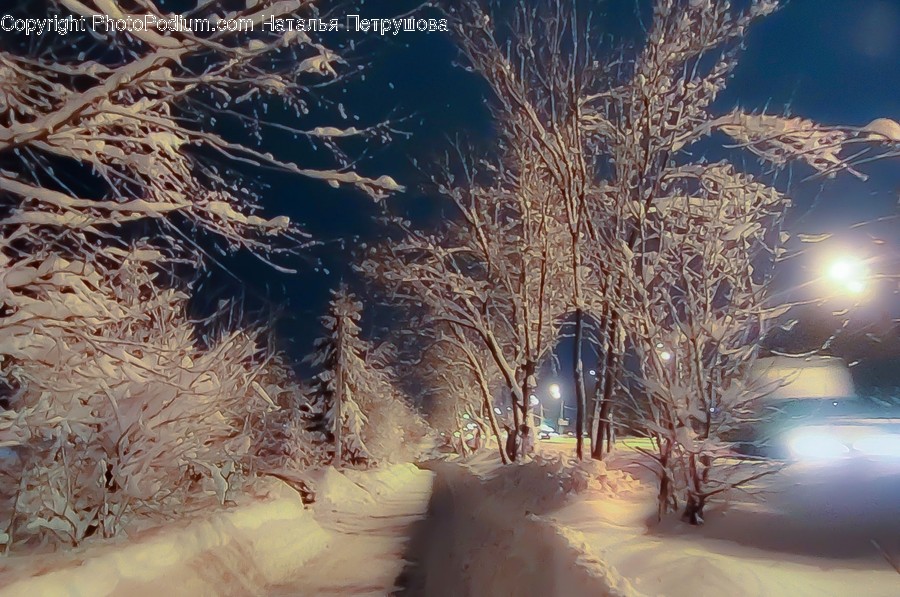 Outdoors, Snow, Winter, Blizzard, Storm