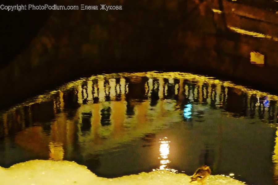 Outdoors, Water, Ripple, Plant, Nature