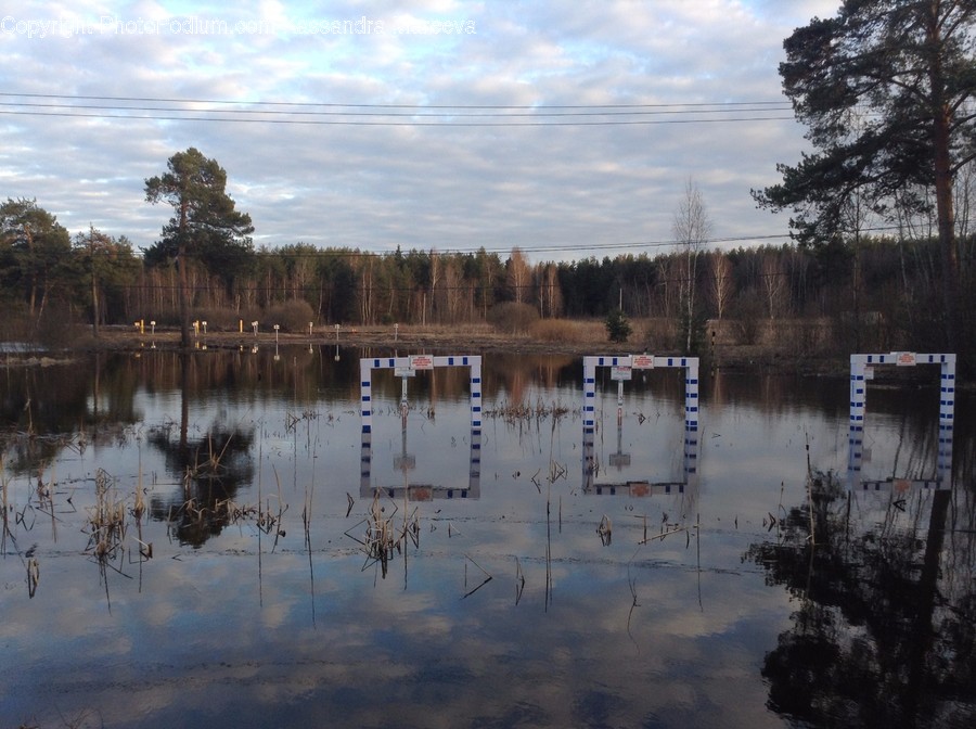 Nature, Outdoors, Land, Water, Swamp