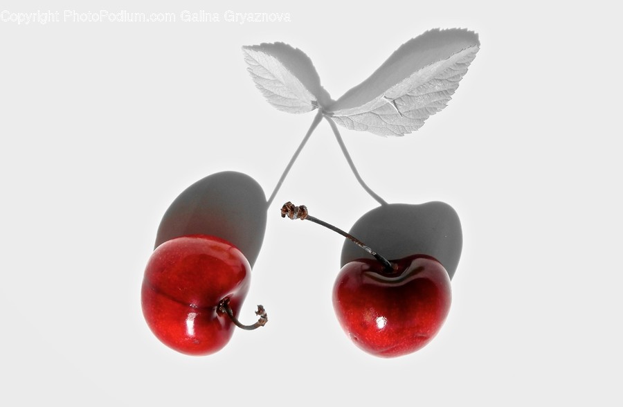 Plant, Food, Fruit, Cherry