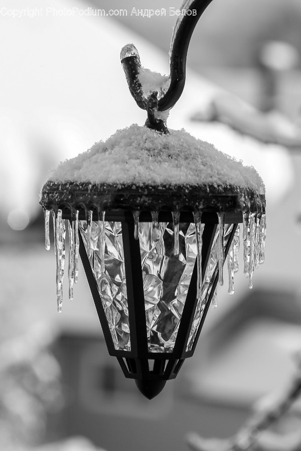 Nature, Ice, Outdoors, Snow, Animal