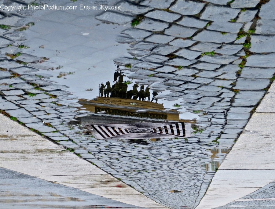 Walkway, Path, Puddle, Flagstone, Human