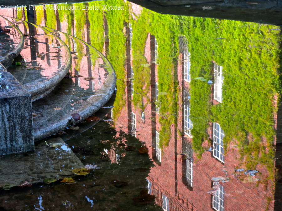 Plant, Outdoors, Water, Transportation, Vehicle