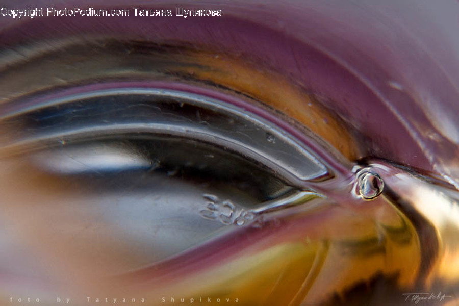 Droplet, Outdoors, Water, Bird, Animal