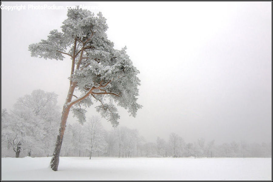 Landscape, Nature, Scenery