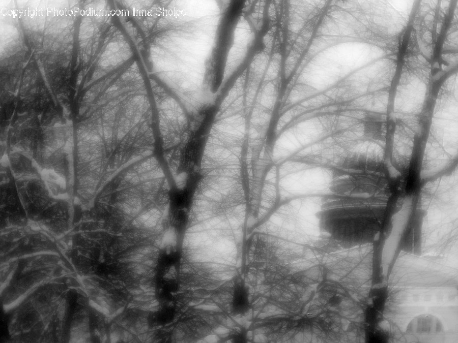 Nature, Outdoors, Weather, Fog, Mist