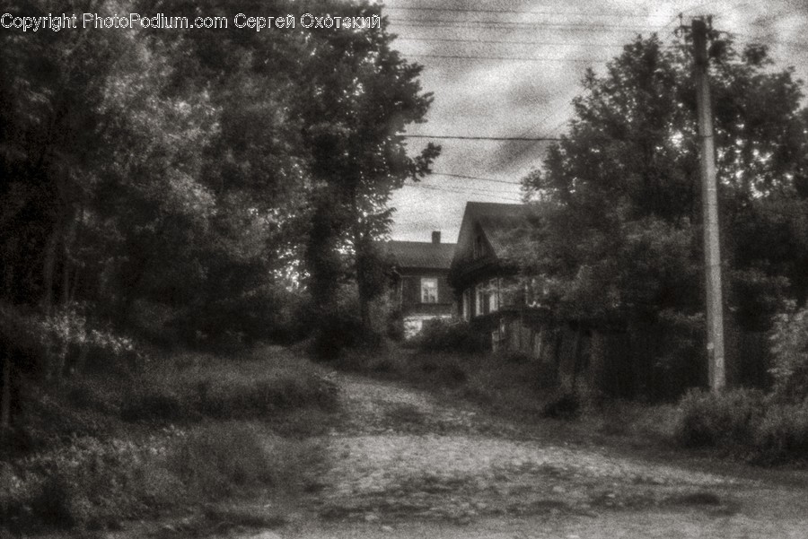 Nature, Outdoors, Building, Countryside, Shelter