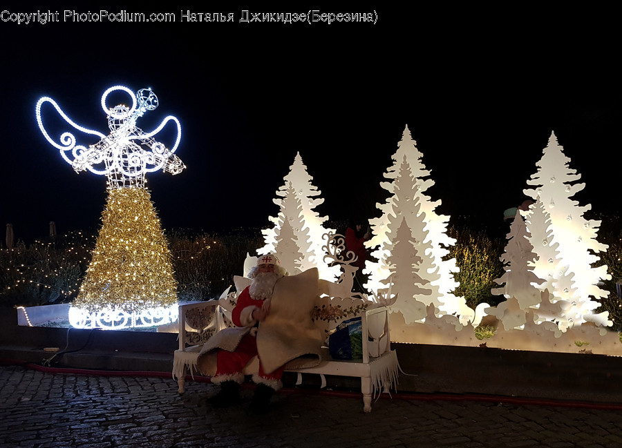 Plant, Tree, Ornament, Christmas Tree, Abies