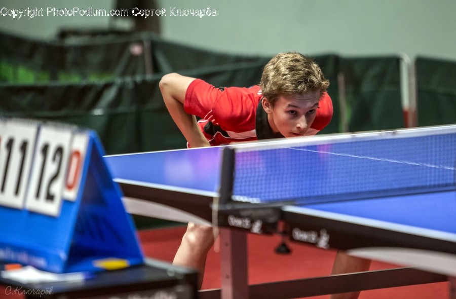 Human, Person, Sports, Ping Pong, Sport