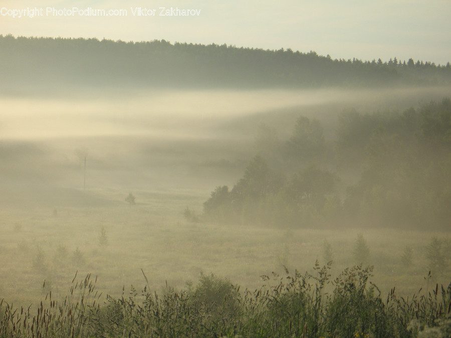 Nature, Weather, Outdoors, Fog, Mist