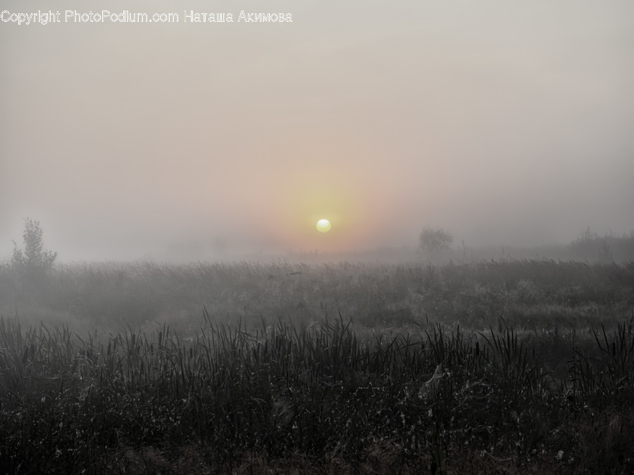 Weather, Nature, Outdoors, Fog, Mist